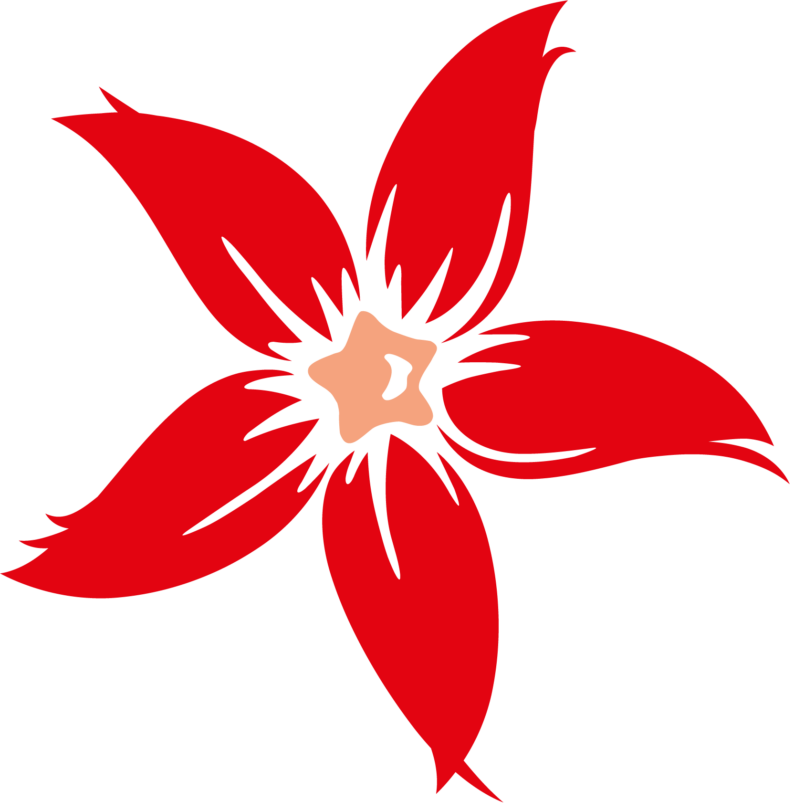 vomfeinsten-bildmarke